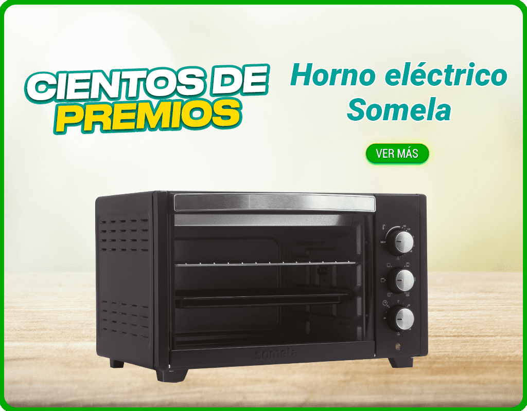 Horno Electrico